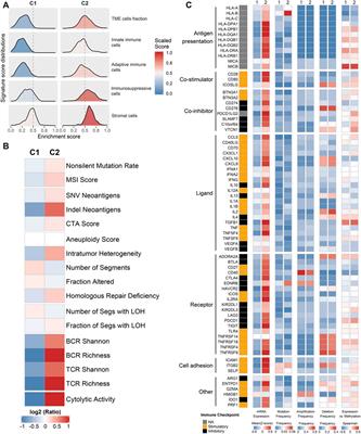 Immune Landscape Refines the Classification of Colorectal Cancer With Heterogeneous Prognosis, Tumor Microenvironment and Distinct Sensitivity to Frontline Therapies